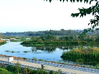 建设中的谷城汉江国家湿地公园