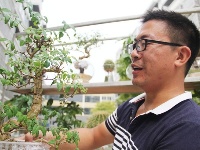 大学生陈建波返乡种植水培花卉