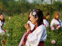 汉服秀惊艳老君山樱花谷