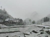 赵湾渔坪传奇美 飞雪迎春绿映红