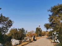 冬日谷山公园