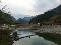 不一样的赵湾