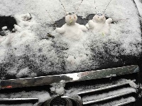 谷城不下雪，看人家武汉