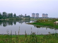 建设中的谷城汉江国家湿地公园
