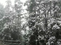 谷城今冬第一场雪来啦