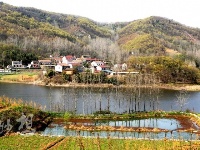 谷城百花岛