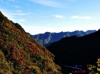 赵湾漆树垭风光