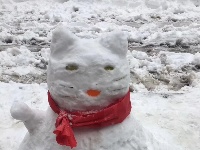 2018新年迎暴雪，谷城人堆雪娃娃如此惊艳