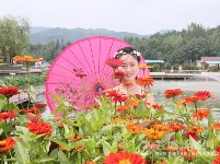 美女若盼兮，见之不忘！