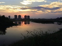 建设中的谷城汉江国家湿地公园