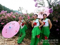 舞动樱花谷 迎接八方客