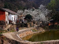 早春人家