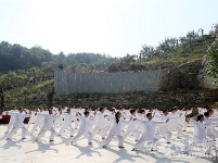 谷城60余老年朋友樱花谷里秀太极
