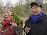 陪伴，是最长情的告白