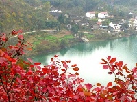 南河红叶