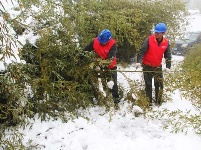 大雪突袭 谷城全力抢修受损电力设施