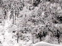 赵湾普降大雪