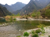 不一样的赵湾