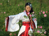 汉服秀惊艳老君山樱花谷