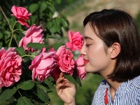 樱花谷里遇美女