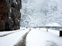 赵湾普降大雪