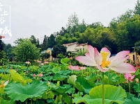 申氏庄园美景