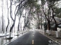 谷城不下雪，看人家武汉