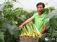 冷集农超对接惠商惠农