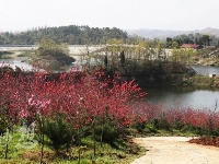 谷城百花岛