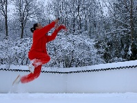 雪中太极，美到爆！