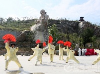 谷城60余老年朋友樱花谷里秀太极
