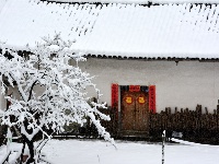 赵湾普降大雪