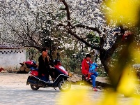 早春人家
