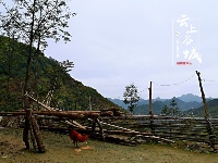 襄阳市中西医结合医院精准扶贫主题党日开在南河阳峪村