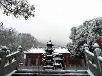 大雪纷飞后茨河承恩寺的高颜值