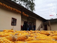 襄阳市中西医结合医院精准扶贫主题党日开在南河阳峪村
