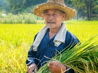 丰收季，喜人眼
