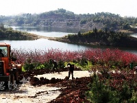 谷城百花岛