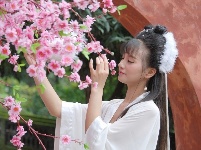 古典美女惊艳承恩寺 蔡以成摄