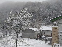 谷城今冬第一场雪来啦