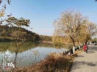 冬日谷山公园