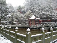 大雪纷飞后茨河承恩寺的高颜值