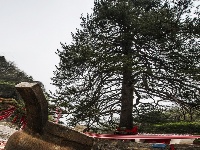 赵湾山路十八湾