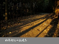 初冬里的一抹阳光
