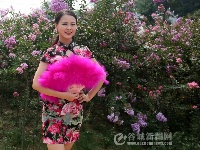 舞动樱花谷 迎接八方客