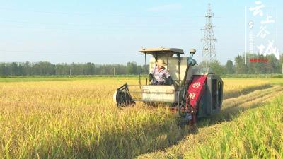 谷城：强化农机安全服务 机收率达90%