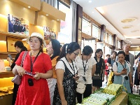 乡村振兴现场会