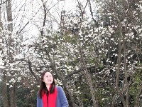 春来花开满人家