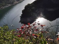 湖北旅游名镇南河