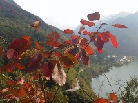 秋游南河